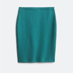 Elegant Teal Skirt NWOT